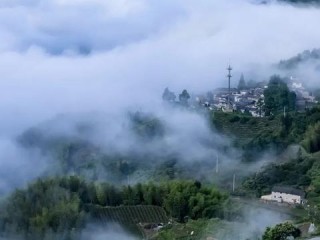 松阳的雨，藏在天气预报里