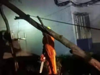 风雨中的生命线，台风实时发布如何守护万家灯火