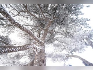 合肥天气预报15天查询百度，轻松掌握未来天气，出行计划更从容