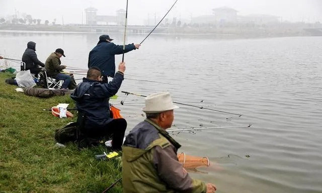 钓鱼天气预报，如何精准把握出钓黄金时机
