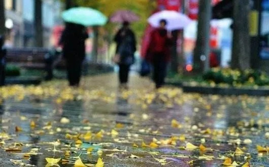 彩票365-苏州未来15天穿衣指南，从雨巷到艳阳，一衣穿遍江南春