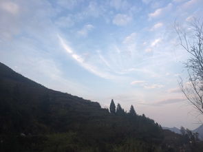 加拿大2.8在线开奖结果预测-缙云天气预报15天，从山间云雾到城市晴雨的精准守望