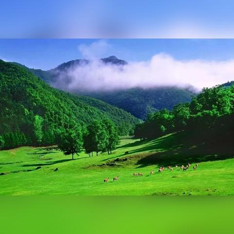 伊春市天气预报,林都天气变化多端,出行请多加留意 伊春市天气预报,林都天气变化多端,出行请多加留意