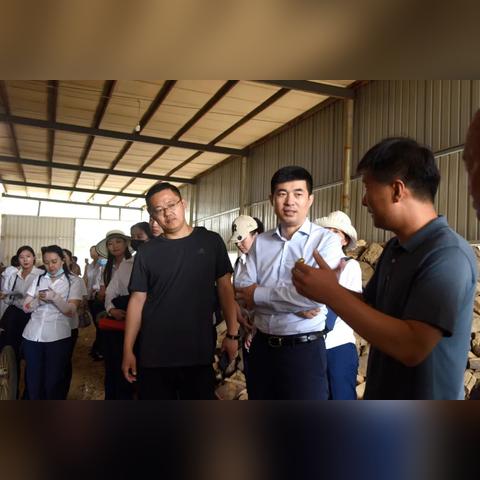 临清天气预报,这座运河古城的冷暖,都藏在天光云影里 临清天气预报,这座运河古城的冷暖,都藏在天光云影里
