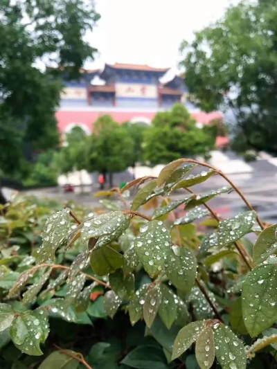 桐柏山雨，一场关于天气的叙事
