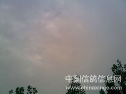 三明天气预报15天,变幻无常的天气,藏在绿水青山间的小脾气 三明天气预报15天,变幻无常的天气,藏在绿水青山间的小脾气