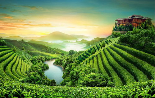 安溪县天气预报,品茶时节,天意如何? 安溪县天气预报,品茶时节,天意如何?