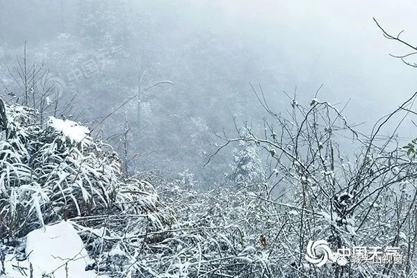 湖南多地将迎暴雪,银装素裹下的冷暖人间 湖南多地将迎暴雪,银装素裹下的冷暖人间