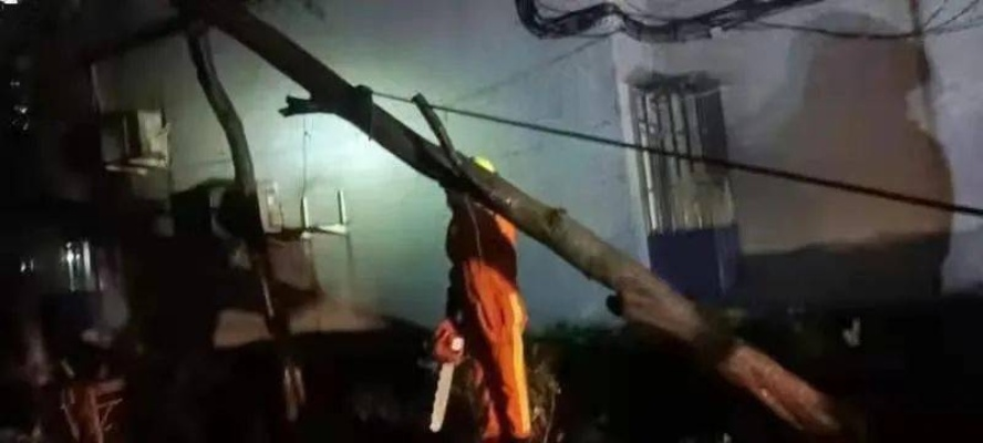 风雨中的生命线,台风实时发布如何守护万家灯火 风雨中的生命线,台风实时发布如何守护万家灯火