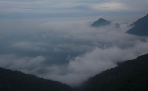 黄山天气预报，云雾之巅的天气密码，登顶前必看的出行指南