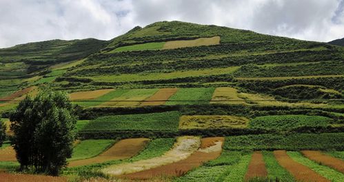 礼县天气预报，一份关于山、云与时间的温情指南