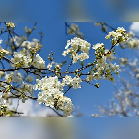 庐江天气预报15天，春日多变，出行需留意