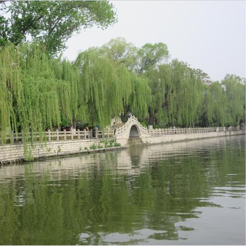 在喧嚣中寻一方清净,为什么我选择了一款无广告的天气App 在喧嚣中寻一方清净,为什么我选择了一款无广告的天气App
