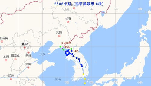 2023台风实时路径，风雨中的守望与科技的力量